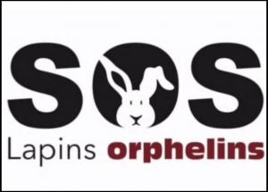 SOS Lapins orphelins