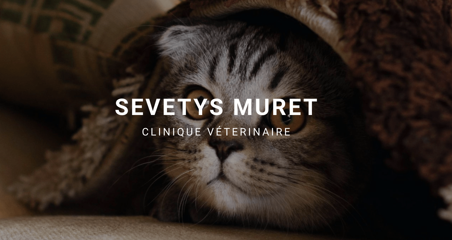 Clinique Vétérinaire Sevetys Muret