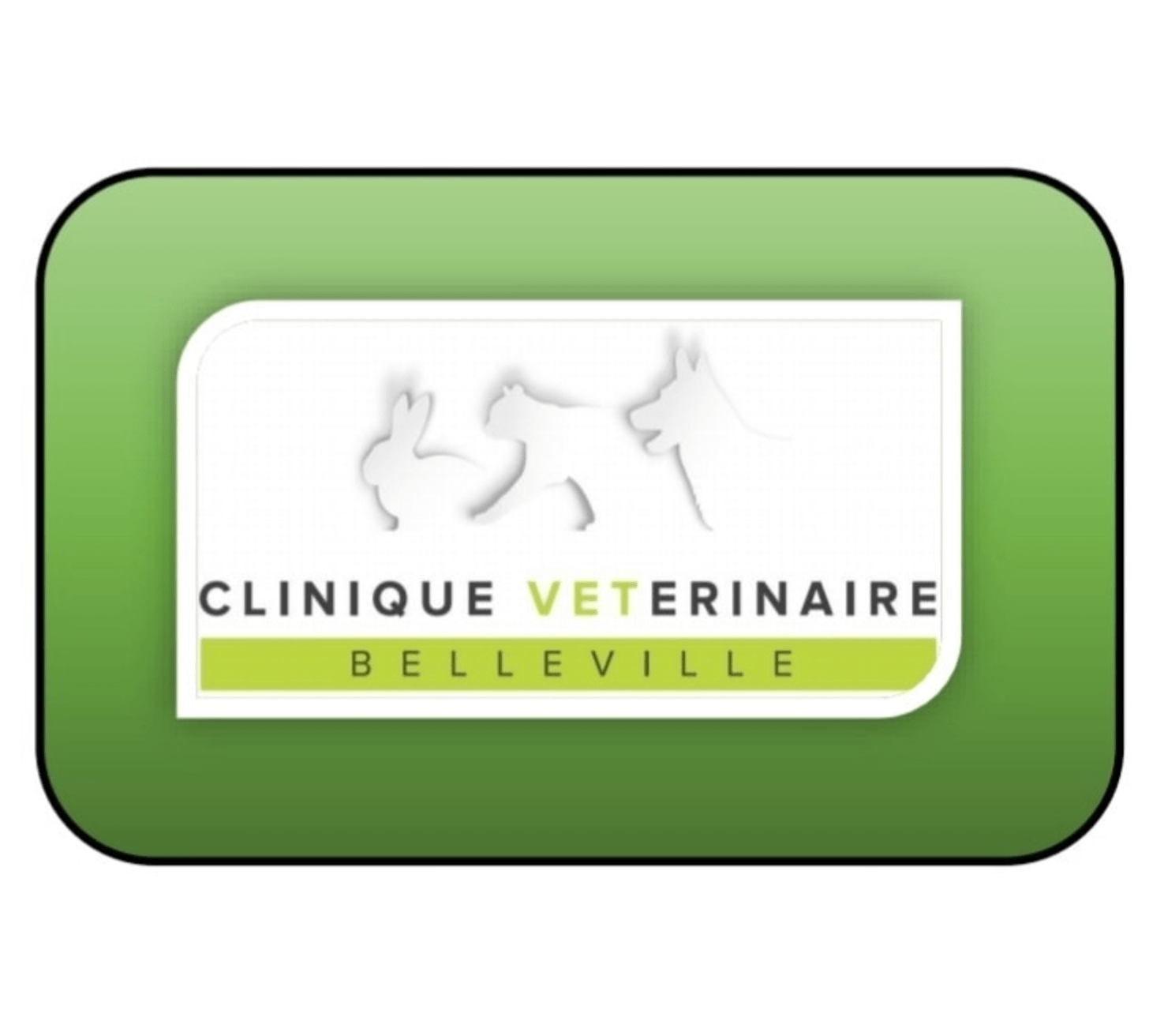 Clinique vétérinaire de Belleville - SA Clinique vétérinaire Anicura Belleville