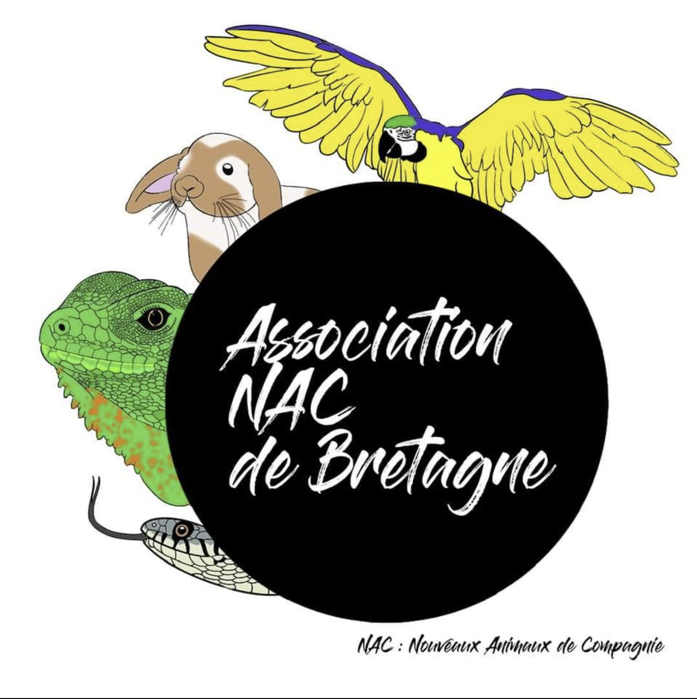Association Nacs de Bretagne