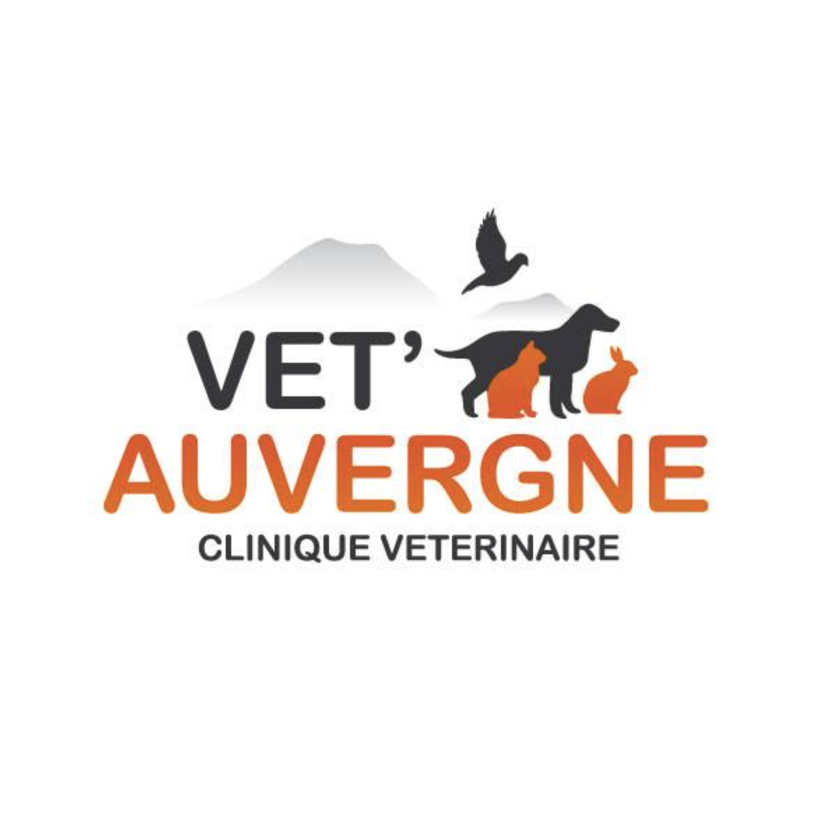 Clinique vétérinaire Vet'Auvergne