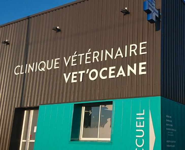 CLINIQUE VÉTOCÉONE