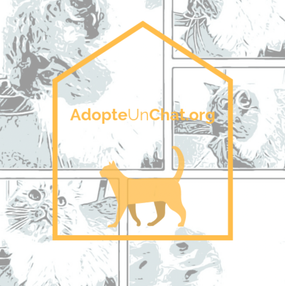 Adopte un chat.org