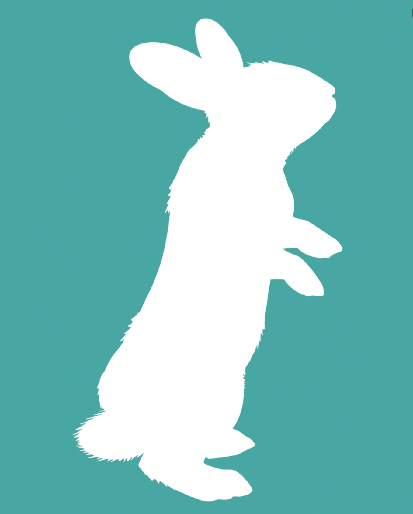 Association White Rabbit