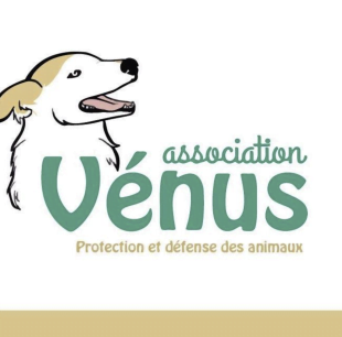 Association Venus