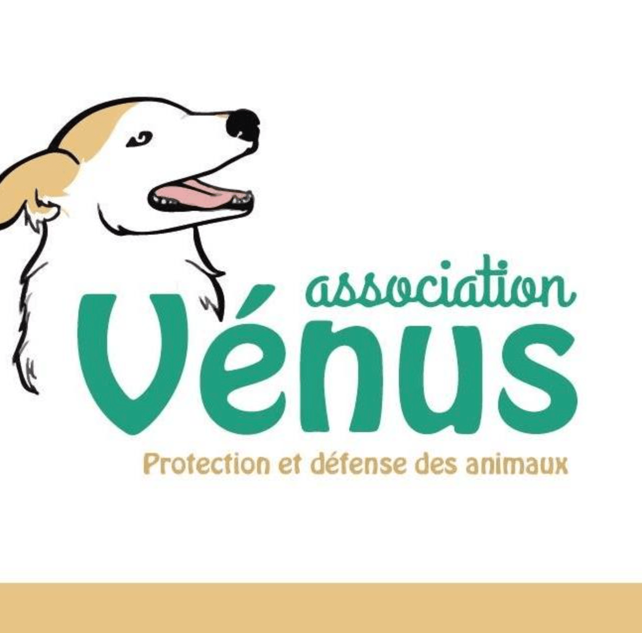 Association Venus