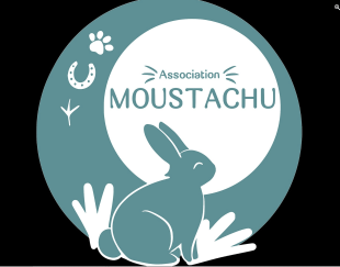 Association Moustachu