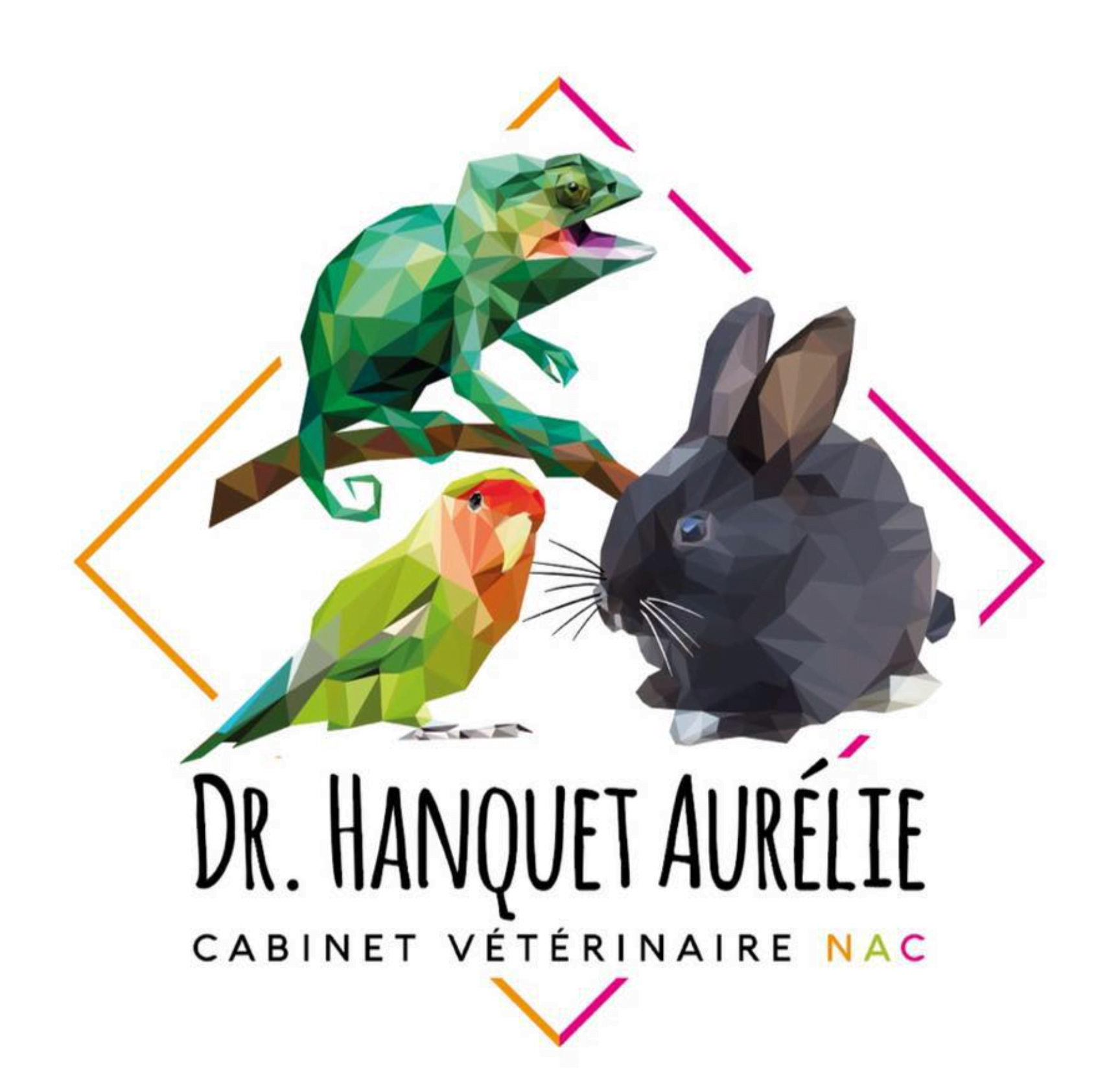 Aurélie Hanquet, Vétérinaire NAC Exclusif