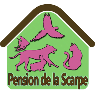 La Pension de la Scarpe