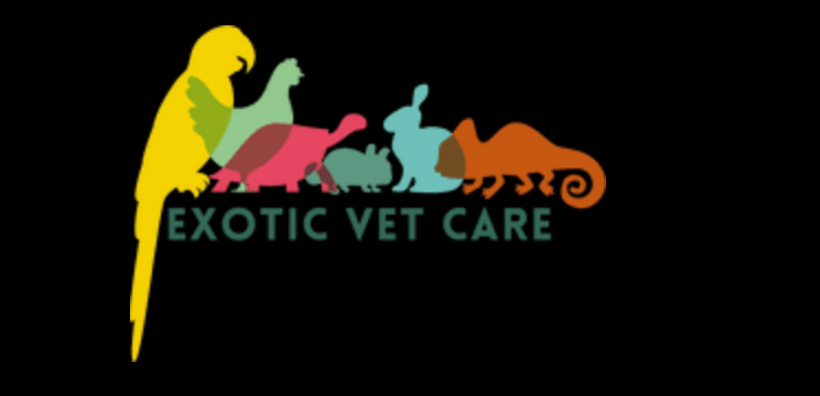 Exotic Vet Care