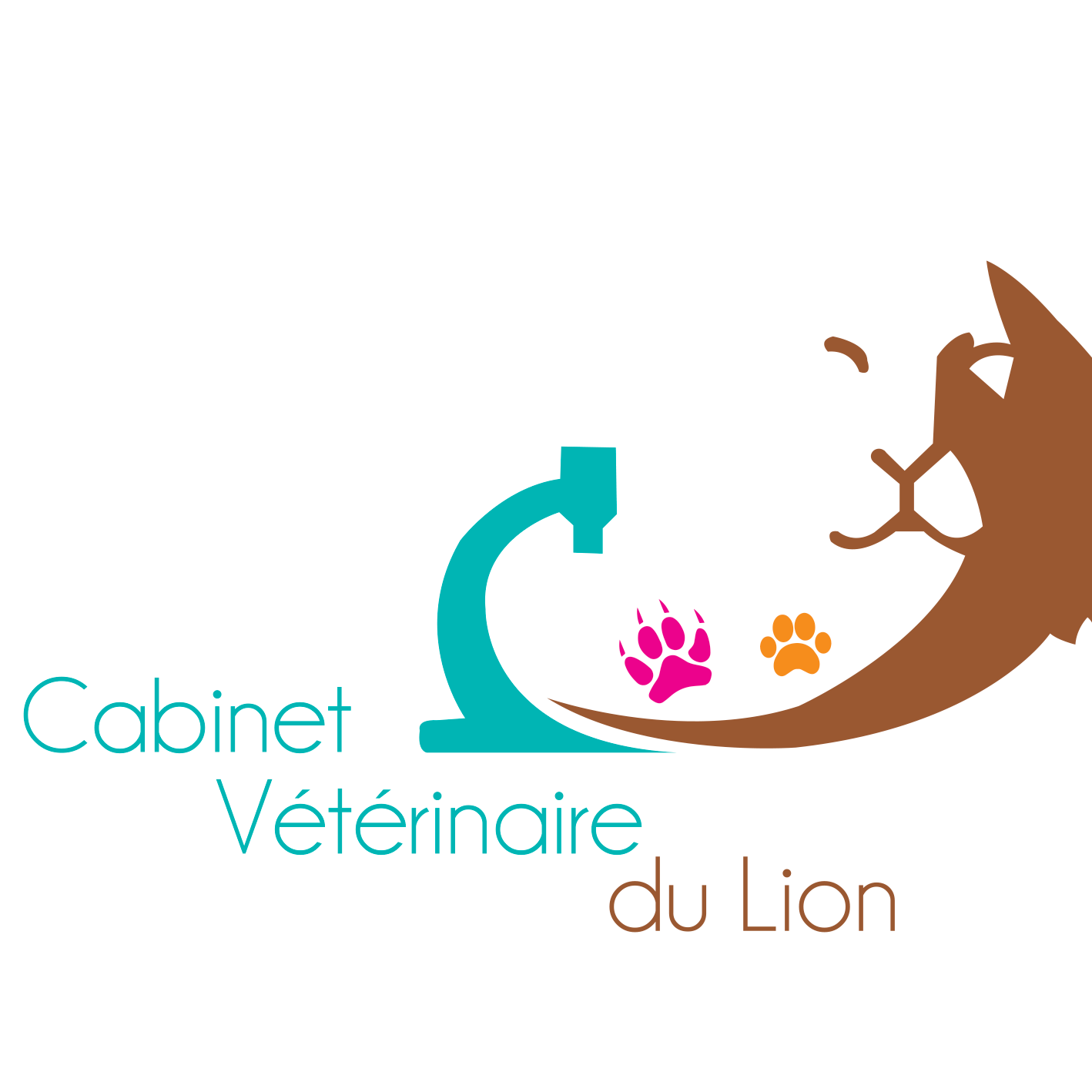 Cabinet Vétérinaire du Lion