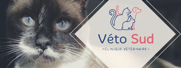 Clinique Vétérinaire Vetosud