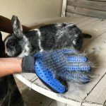 Gant magique pour le brossage des lapins