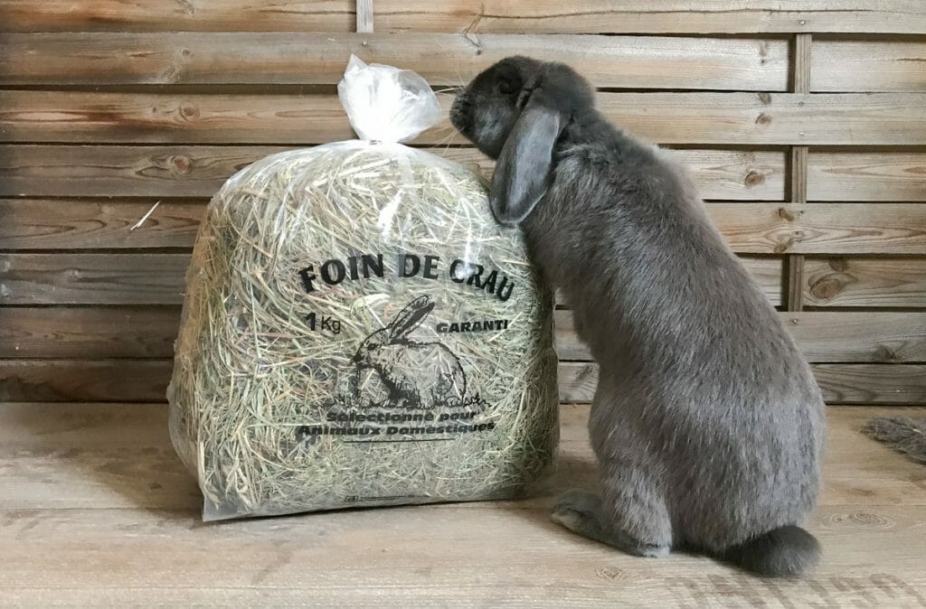 Foin de Crau pour lapin