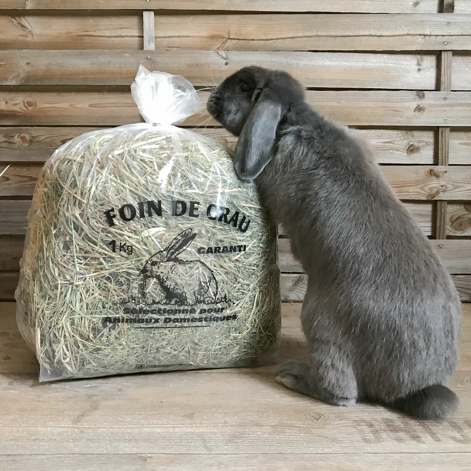 Foin de Crau pour lapin et lapin nain - Le meilleur pour mon lapin