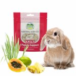 Comprimés Papaya Support Oxbow pour lapin
