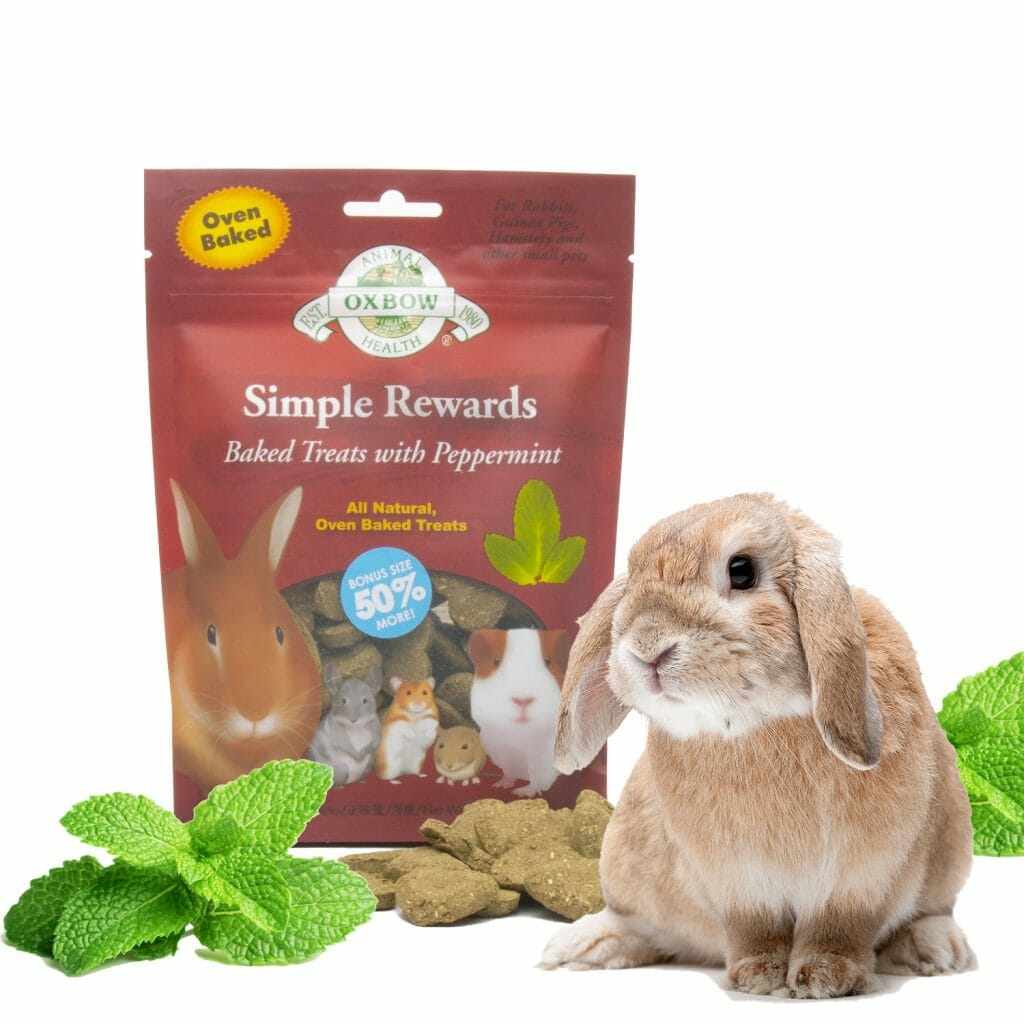 Organic Normandy Hay 1,5kg burlap - Rabbits World
