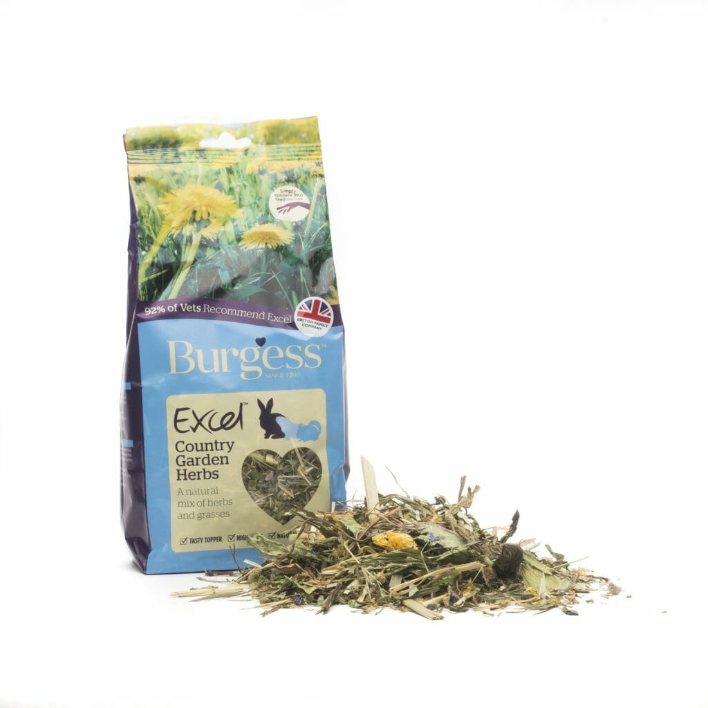 Echinacea Rabbits World