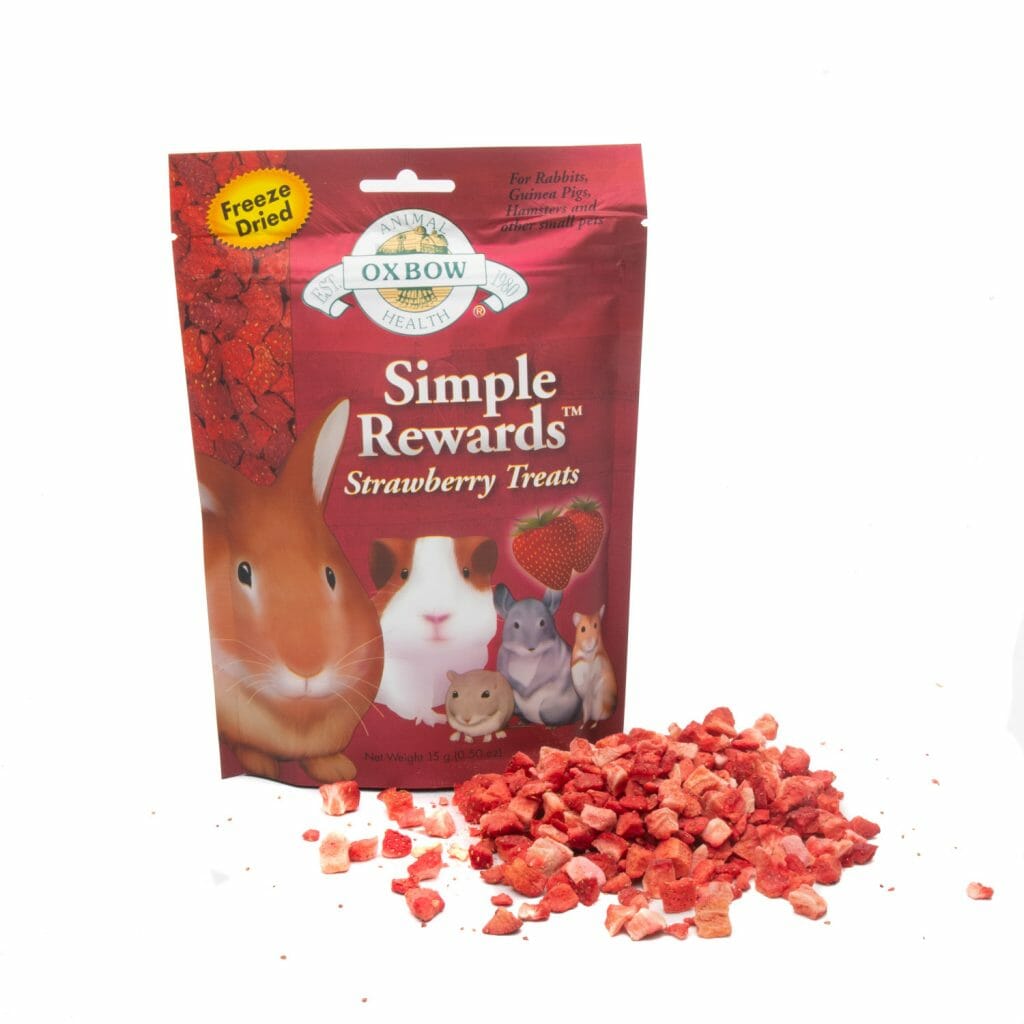 Echinacea Rabbits World