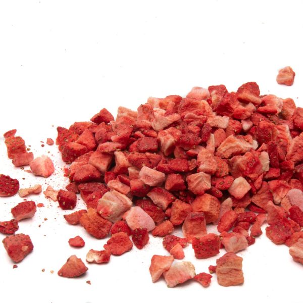 Echinacea Rabbits World