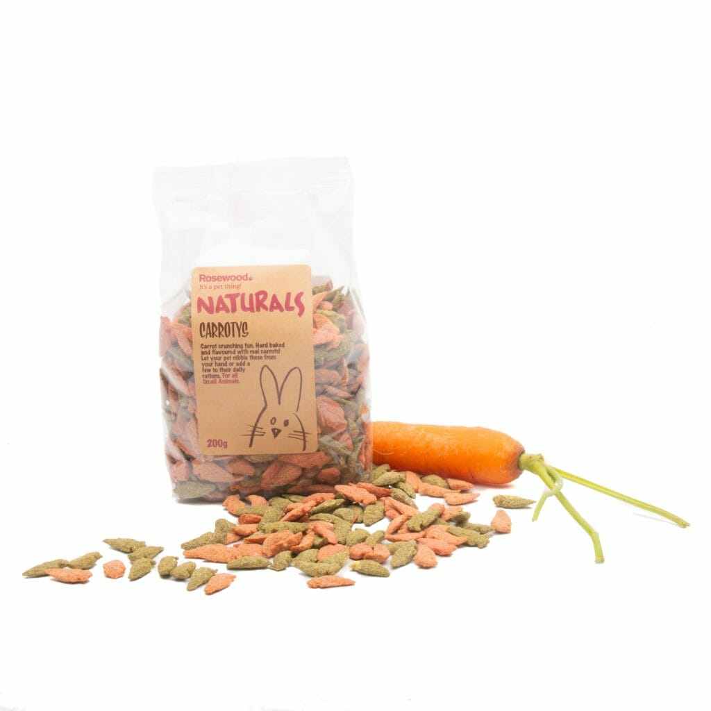 Echinacea Rabbits World