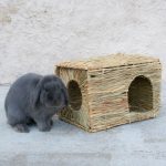 Cabane XL en fibre naturelle pour lapin