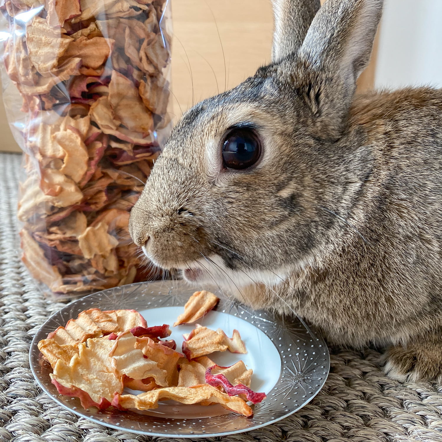 Snacks pour lapins et rongeurs à la pomme CARREFOUR