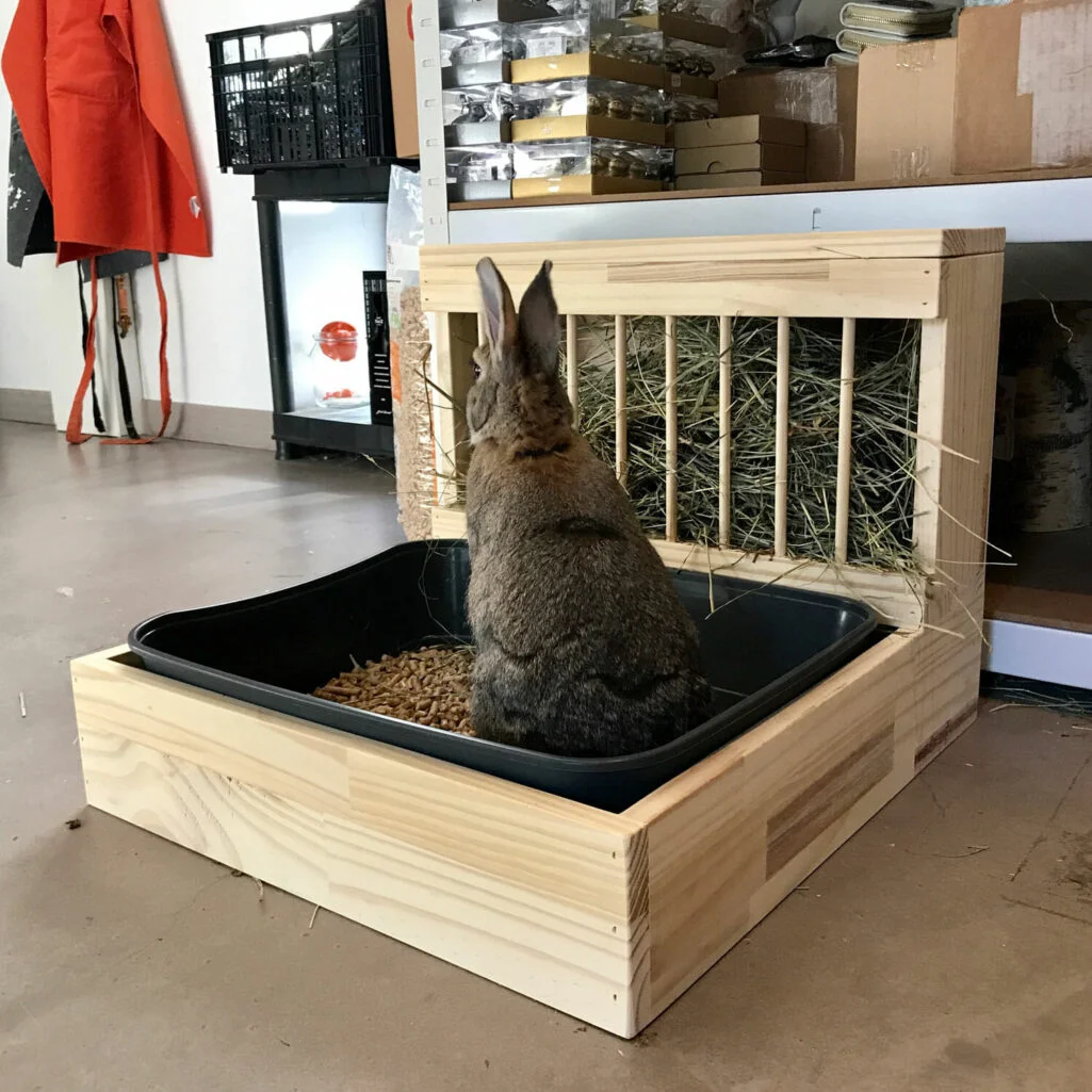 Habitat lapin : Tout savoir