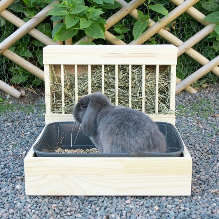 Medium Litter Box with Hay Rack Rabbits World