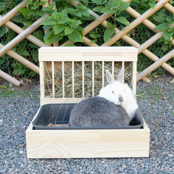 Râtelier-litière medium en bois pour les lapins