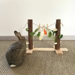Pont à légumes suspendus pour lapin