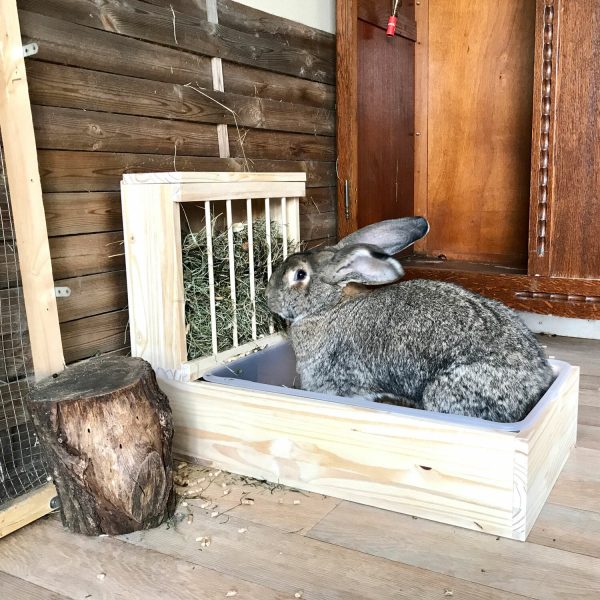 Râtelier-litière XXL en bois pour les lapins géants