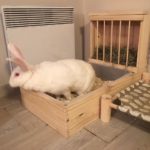 La litière-râtelier XXL pour lapin photo review