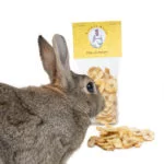 Chips de pomme séchée, friandise pour lapins- Rabbits World