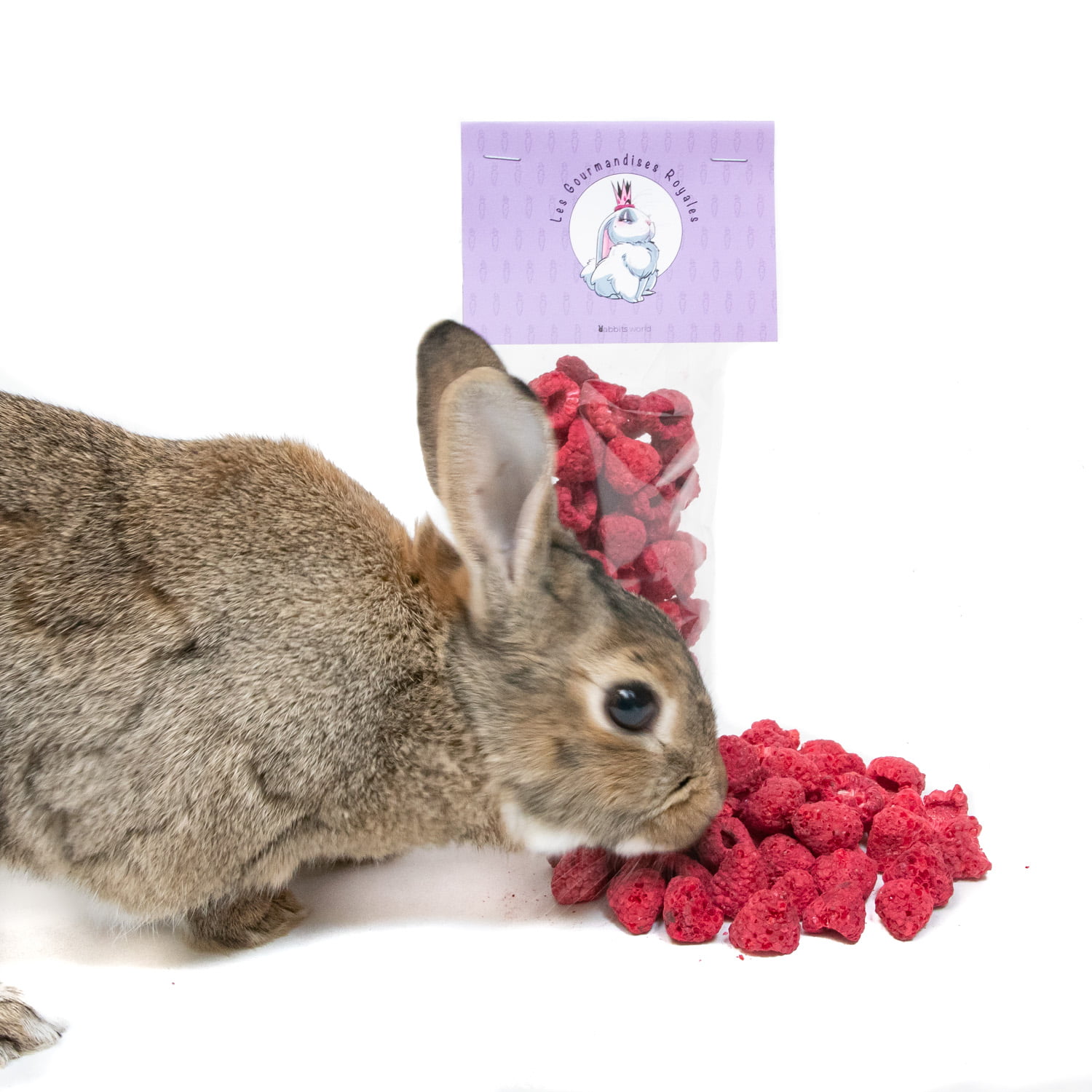 Fraises lyophilisées pour lapins - Rabbits World