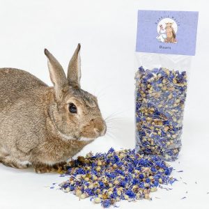 Fleurs de bleuet pour les lapins