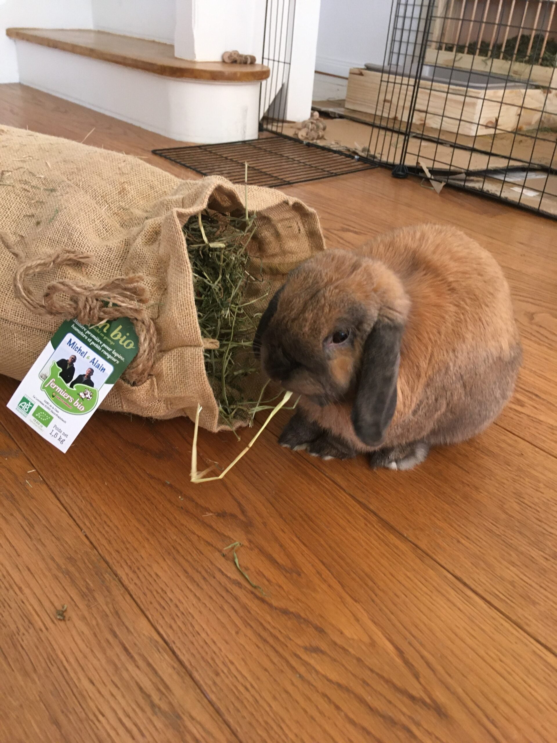 Foin de Normandie bio 1,5kg sac en jute — Rabbits World