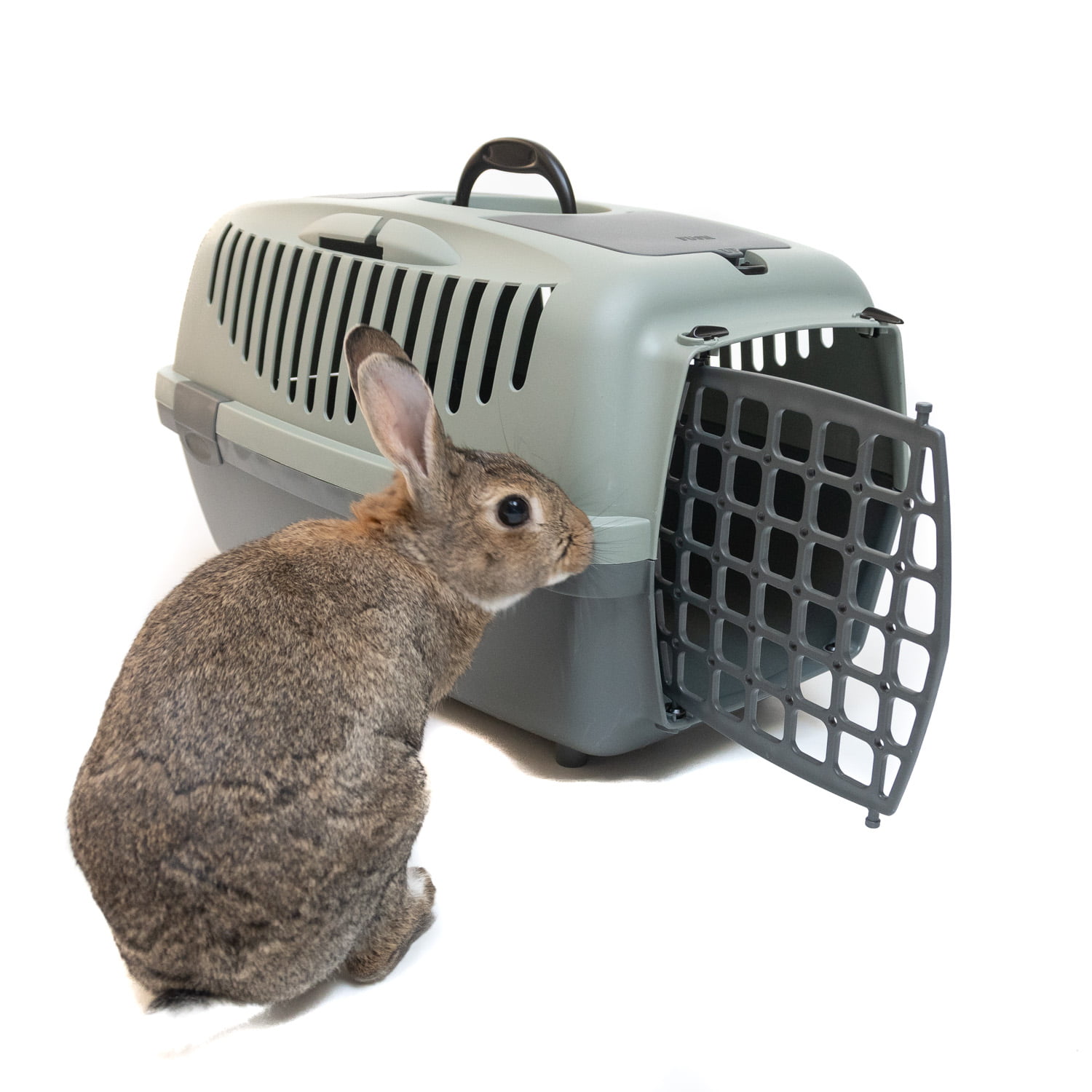 Cage de transport pour lapin - La Ferme des Animaux