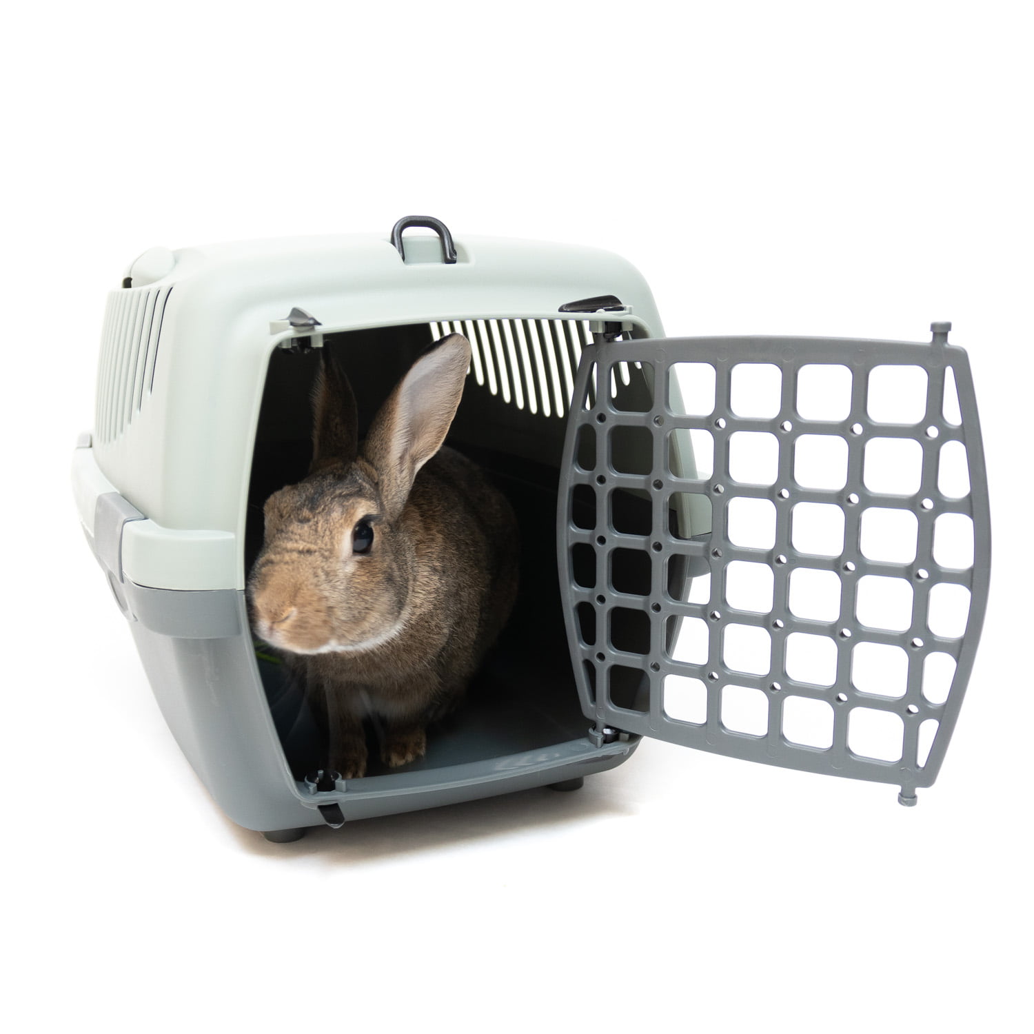 Cage de transport pour lapin - Les petits lapins