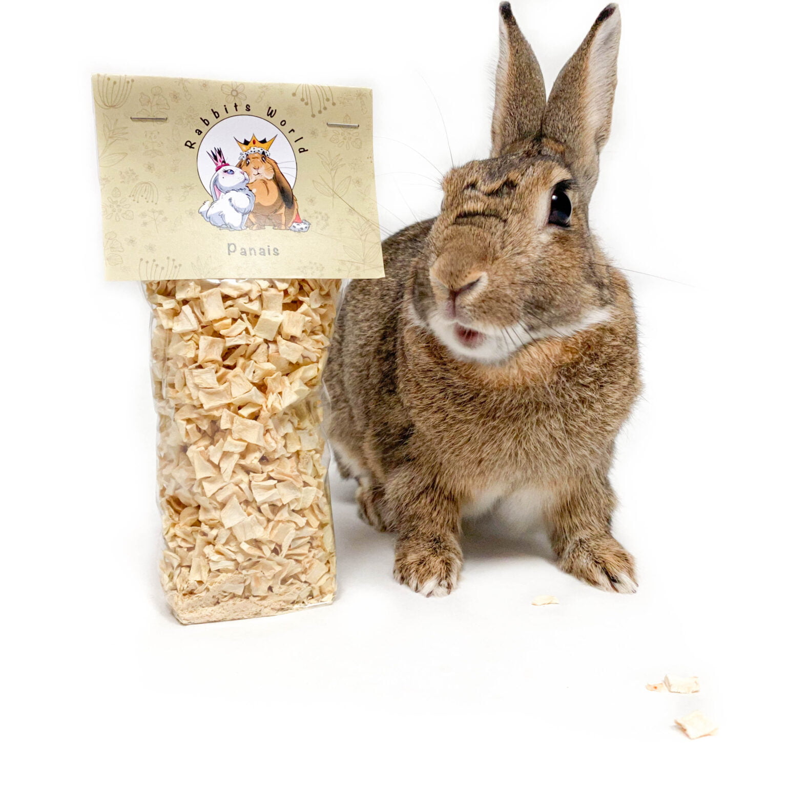 Echinacea Rabbits World