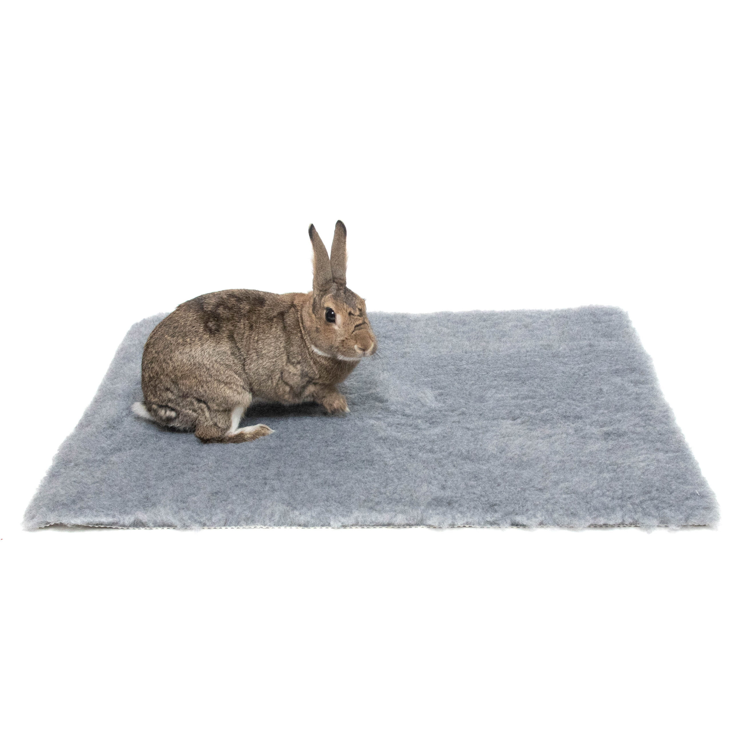 Grand tapis pour lapin - Tapis de Sol pour Lapin - Mon lapin Nain