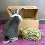 Mini ballot Coeur de prés pour les lapins