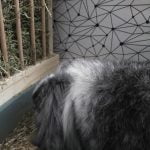 Litiere-râtelier small pastel pour lapin photo review