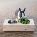 Module écuelles en bois pour les lapins