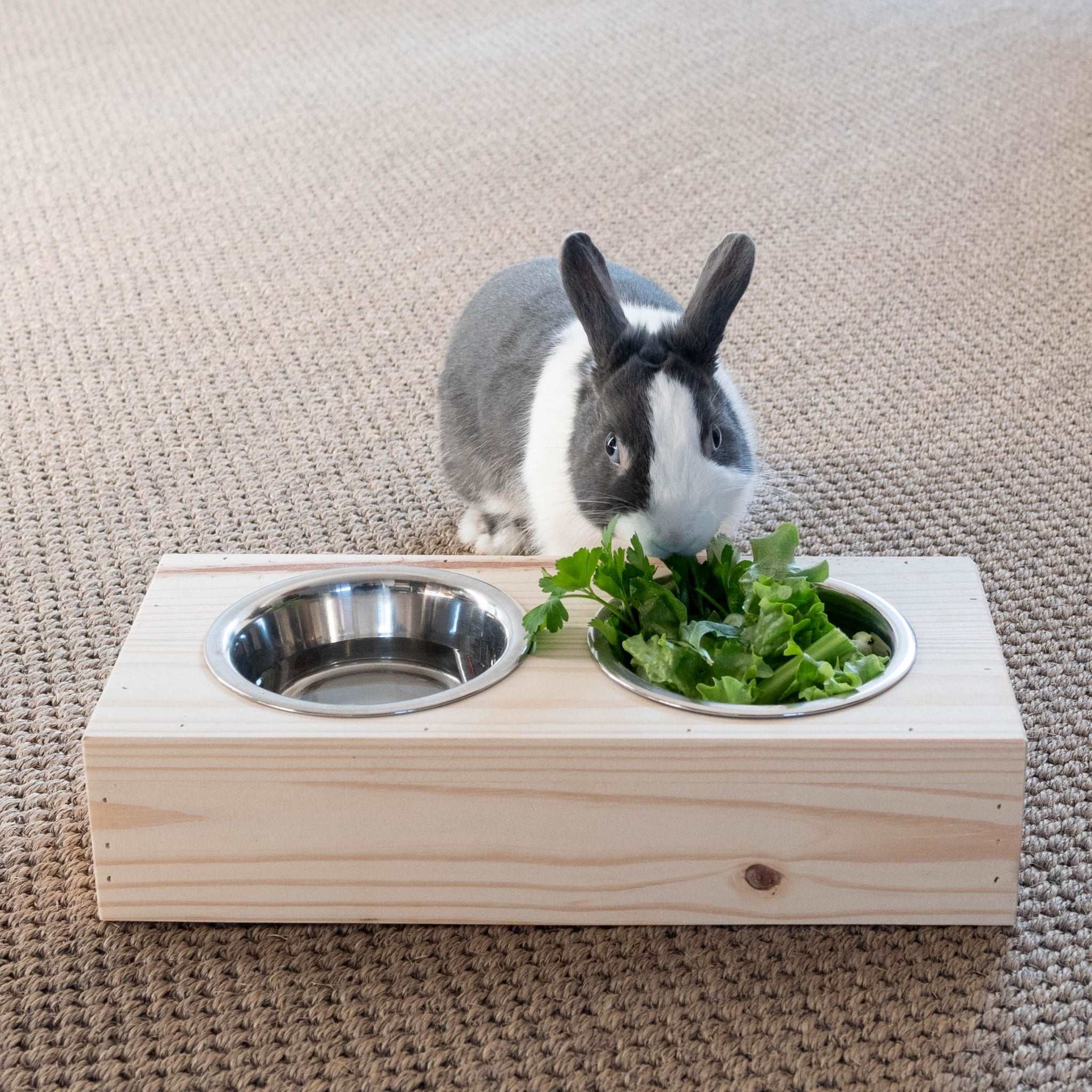 Medium Bowl Unit - Rabbits World