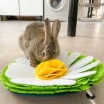 Tapis hygiéniques pour lapins- Rabbits World