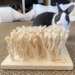 Tapis de fouille naturel en bois pour lapin