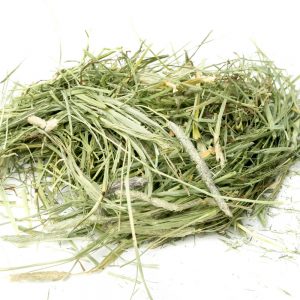Selective Timothy Hay 2kg - Rabbits World