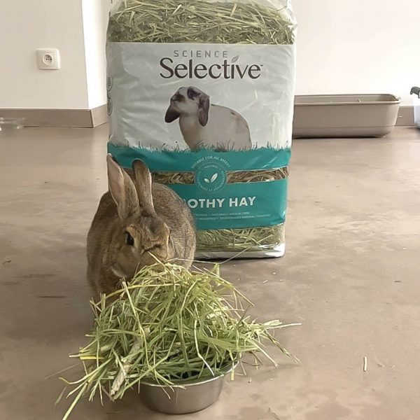 Foin de fléole Selective pour les lapins