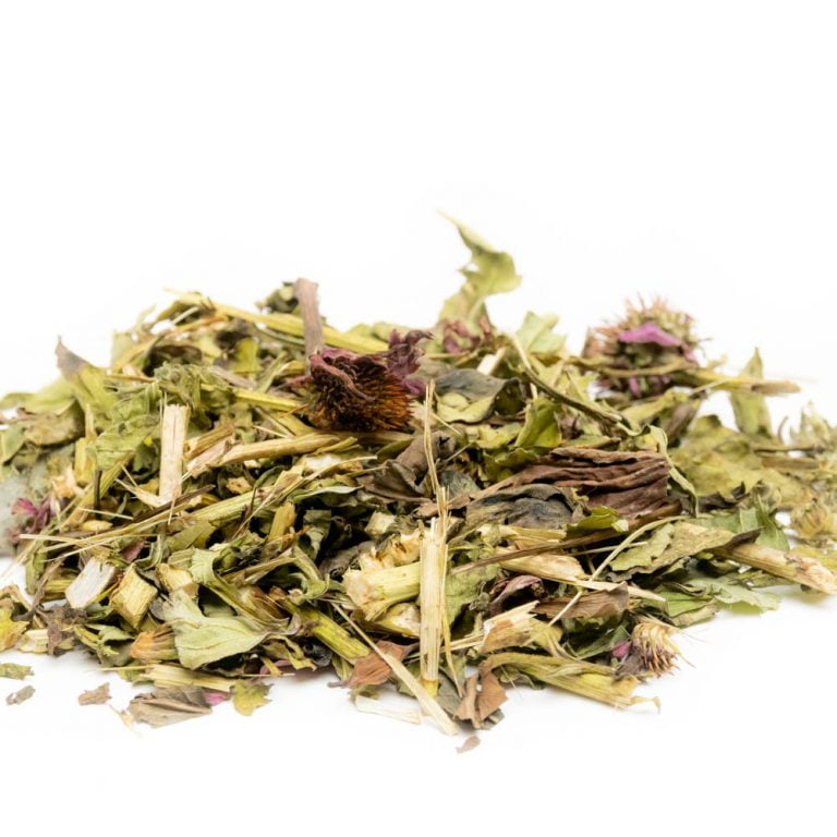 Echinacea Rabbits World